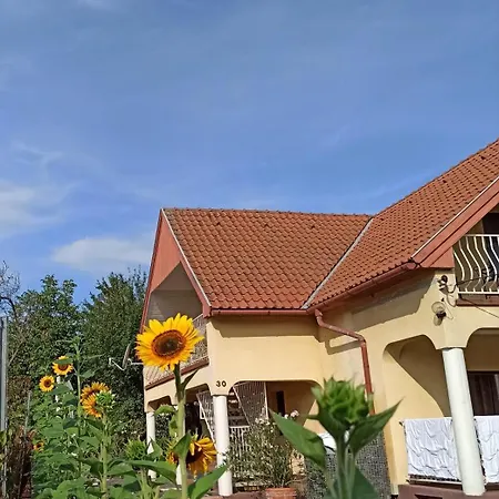 Apartment Barackvirag *