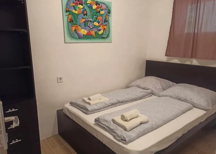 דירה Barackvirag *