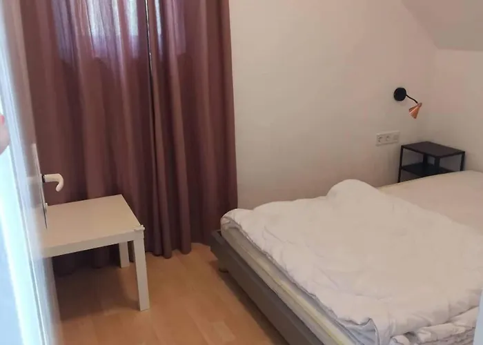 Barackvirag דירה *