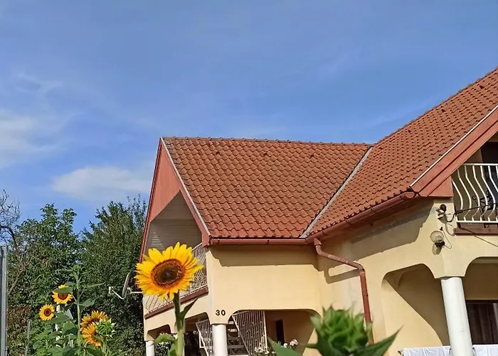 דירה Barackvirag *